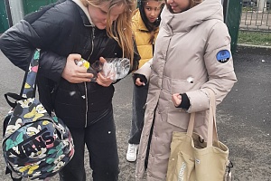 ��������� ���������� � ��������� ����������� ����� �������